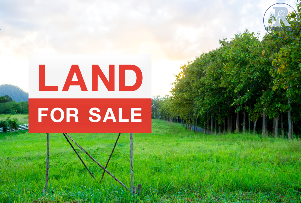 Investing in raw land with a scenic view of undeveloped property under a clear sky